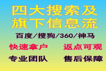 竞价推广SEM托管服务案例解析