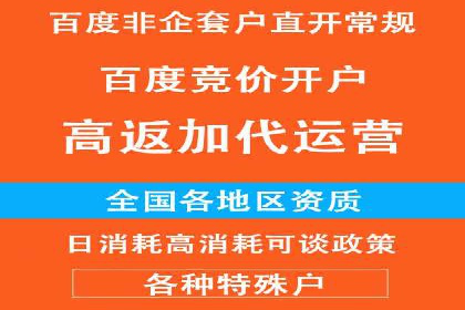 百度推广竞价全解析：某电商平台的营销策略